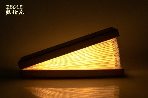 紙伯樂節(jié)慶用品訪談回顧,特殊外觀設(shè)計(jì)展現(xiàn)燈具別樣魅力